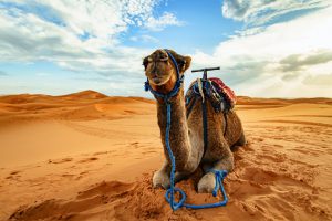 Visto de turismo Marrocos