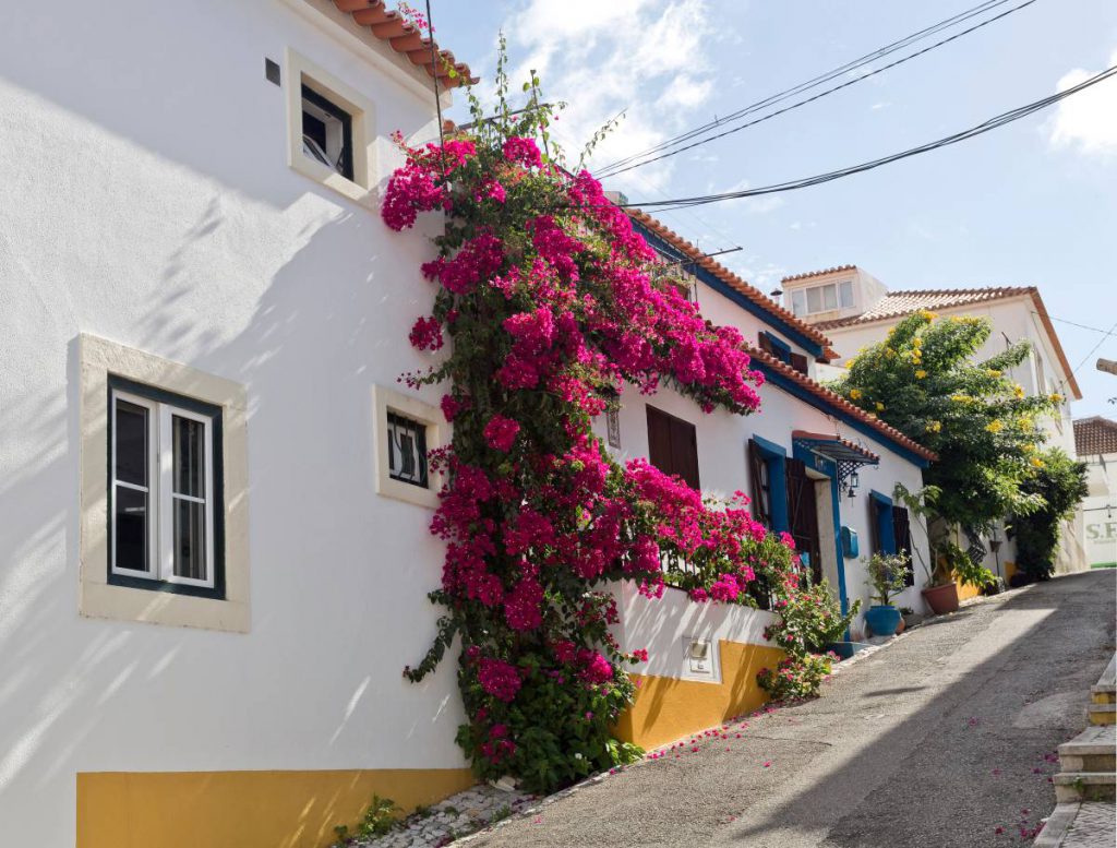 Como obter a Autorização de residência para Investimento
